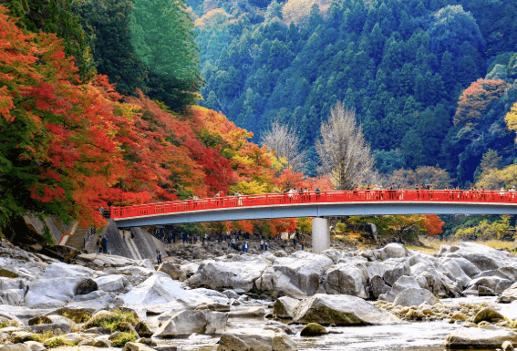 Some Of the Very Best Nagoya Travel Attractions