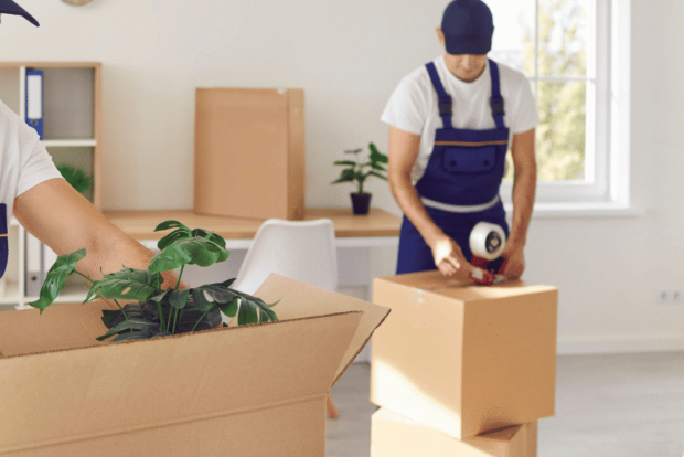 When Moving Day Arrives, the Right Help Changes Everything