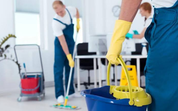 What Professional Cleaners Can Do That You Simply Can't